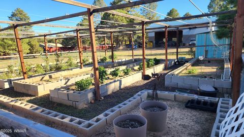 Tiny photo for 1085 Pine Ridge Drive, Show Low, AZ 85901 (MLS # 258308)