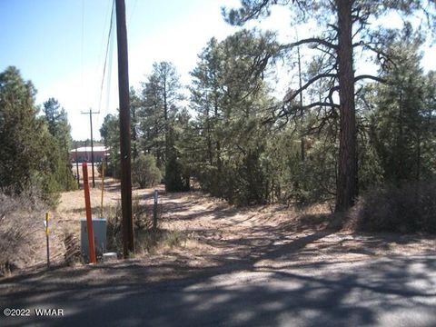 Tiny photo for 2081 Forest Park, Overgaard, AZ 85933 (MLS # 240784)