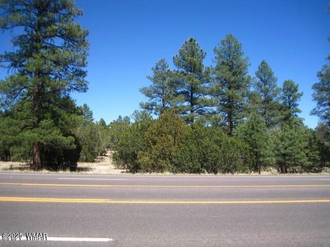 Photo of 2081 Forest Park, Overgaard, AZ 85933 (MLS # 240784)