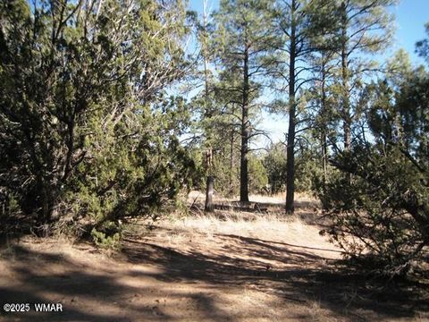 Tiny photo for 2081 Forest Park, Overgaard, AZ 85933 (MLS # 240784)