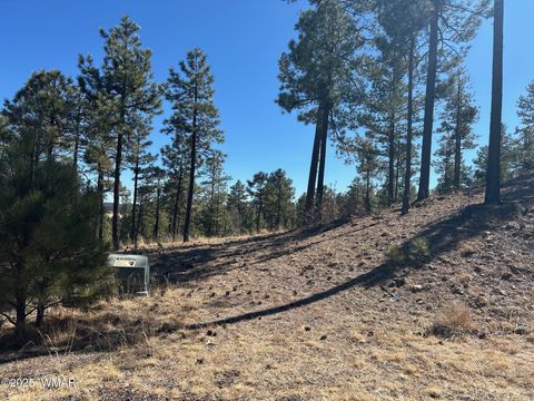 Tiny photo for 10 County Road 2193, Alpine, AZ 85920 (MLS # 254730)
