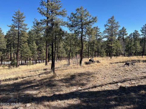 Photo of 10 County Road 2193, Alpine, AZ 85920 (MLS # 254730) Photo of 10 County Road 2193, Alpine, AZ 85920 (MLS # 254730)