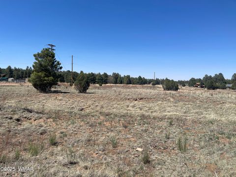 Photo of 2278 Meadow Lane, Overgaard, AZ 85933 (MLS # 256505)