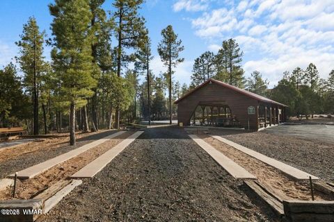 Tiny photo for 2221 Turtle Creek Road, Show Low, AZ 85901 (MLS # 259910)