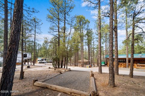 Tiny photo for 2221 Turtle Creek Road, Show Low, AZ 85901 (MLS # 259910)