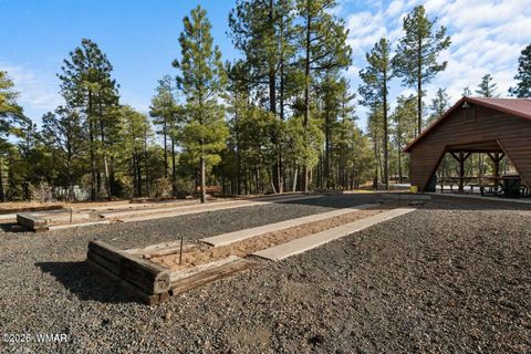 Tiny photo for 2221 Turtle Creek Road, Show Low, AZ 85901 (MLS # 259910)
