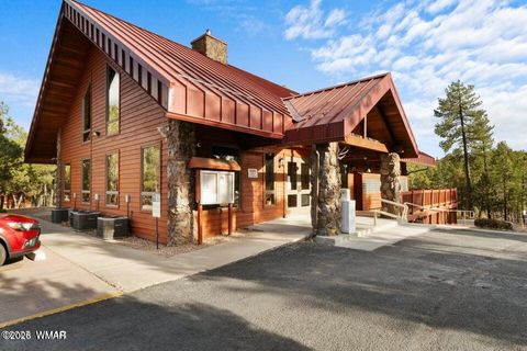 Tiny photo for 2221 Turtle Creek Road, Show Low, AZ 85901 (MLS # 259910)