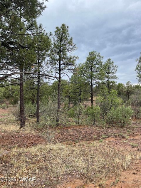 Tiny photo for 631 S Haven Drive, Show Low, AZ 85901 (MLS # 257887)