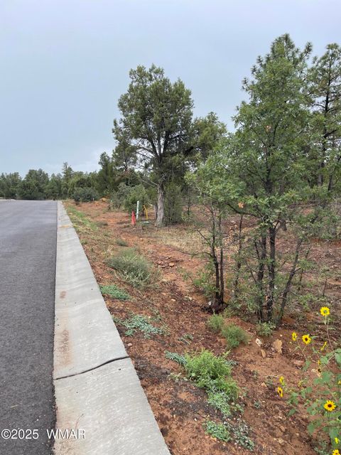 Tiny photo for 631 S Haven Drive, Show Low, AZ 85901 (MLS # 257887)