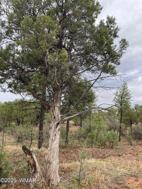 Tiny photo for 631 S Haven Drive, Show Low, AZ 85901 (MLS # 257887)