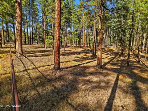 Tiny photo for 25319 US Hwy 191, Alpine, AZ 85920 (MLS # 258727)