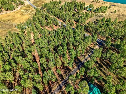 Tiny photo for 25319 US Hwy 191, Alpine, AZ 85920 (MLS # 258727)