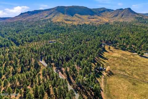 Tiny photo for 25319 US Hwy 191, Alpine, AZ 85920 (MLS # 258727)