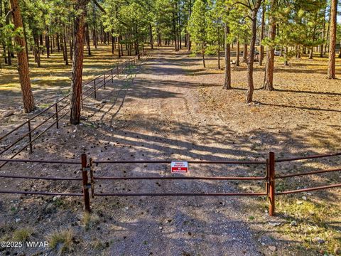 Tiny photo for 25319 US Hwy 191, Alpine, AZ 85920 (MLS # 258727)