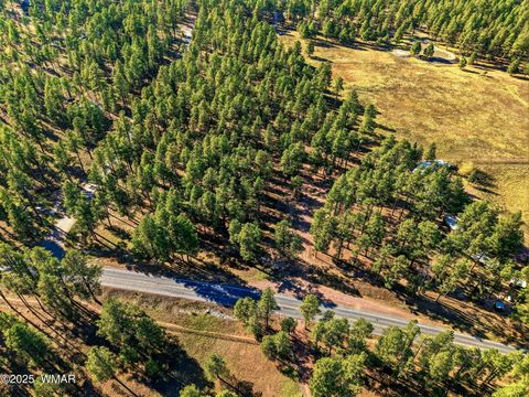 Tiny photo for 25319 US Hwy 191, Alpine, AZ 85920 (MLS # 258727)