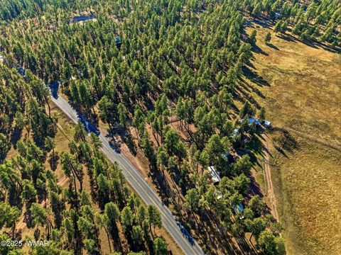 Tiny photo for 25319 US Hwy 191, Alpine, AZ 85920 (MLS # 258727)