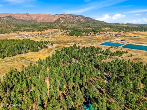 Tiny photo for 25319 US Hwy 191, Alpine, AZ 85920 (MLS # 258727)