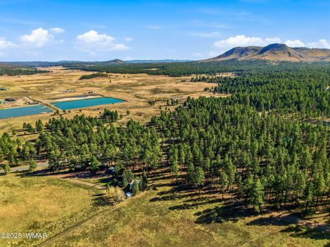 Tiny photo for 25319 US Hwy 191, Alpine, AZ 85920 (MLS # 258727)