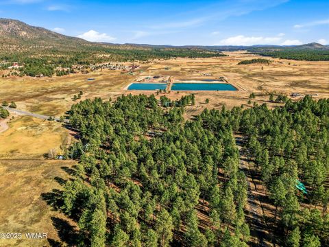 Tiny photo for 25319 US Hwy 191, Alpine, AZ 85920 (MLS # 258727)