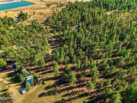 Tiny photo for 25319 US Hwy 191, Alpine, AZ 85920 (MLS # 258727)