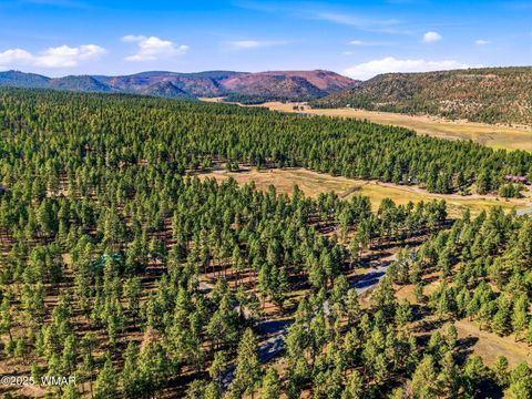 Tiny photo for 25319 US Hwy 191, Alpine, AZ 85920 (MLS # 258727)