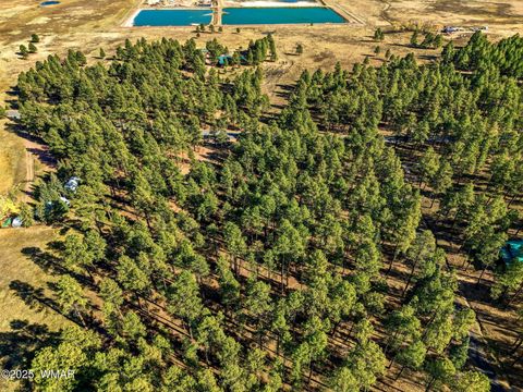 Tiny photo for 25319 US Hwy 191, Alpine, AZ 85920 (MLS # 258727)