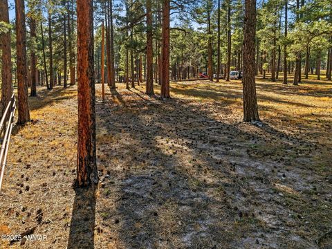 Tiny photo for 25319 US Hwy 191, Alpine, AZ 85920 (MLS # 258727)