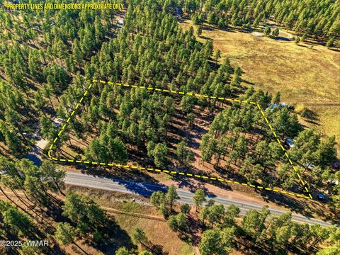 Tiny photo for 25319 US Hwy 191, Alpine, AZ 85920 (MLS # 258727)