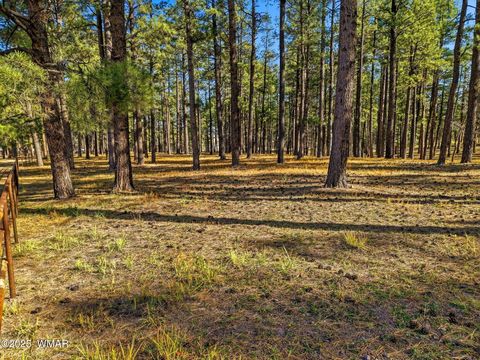 Tiny photo for 25319 US Hwy 191, Alpine, AZ 85920 (MLS # 258727)