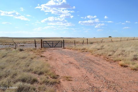 Tiny photo for 5661 Valley Road, Snowflake, AZ 85937 (MLS # 259046)