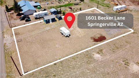 Tiny photo for 1601 E Becker Lane, Springerville, AZ 85938 (MLS # 258232)