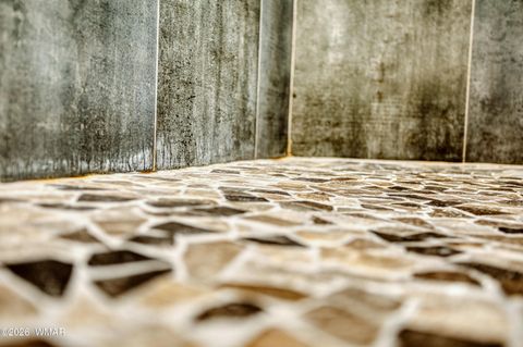 Tiny photo for 1561 W Harvest Court, Taylor, AZ 85939 (MLS # 259562)