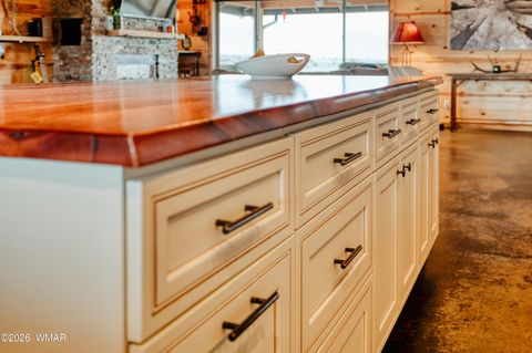 Tiny photo for 1561 W Harvest Court, Taylor, AZ 85939 (MLS # 259562)