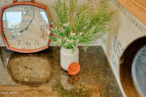 Tiny photo for 1561 W Harvest Court, Taylor, AZ 85939 (MLS # 259562)