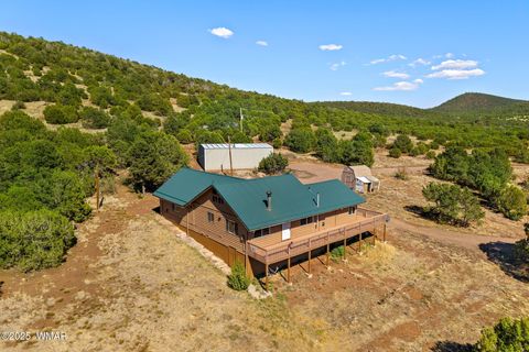 Photo of 675 Co Rd 3144, Vernon, AZ 85940 (MLS # 257257)