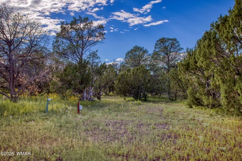 Tiny photo for 156 County Road 3158, Vernon, AZ 85940 (MLS # 263116)