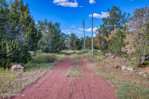 Tiny photo for 156 County Road 3158, Vernon, AZ 85940 (MLS # 263116)