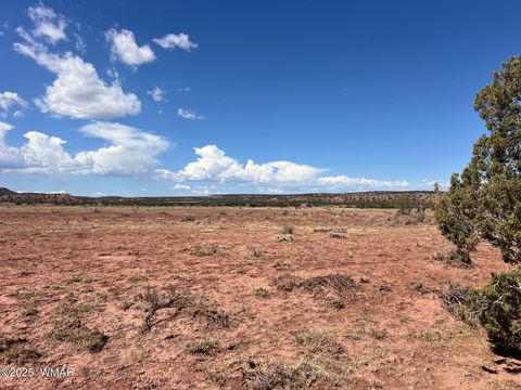 Tiny photo for 000 Paso Drive, Snowflake, AZ 85937 (MLS # 256478)