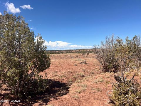 Tiny photo for 000 Paso Drive, Snowflake, AZ 85937 (MLS # 256478)