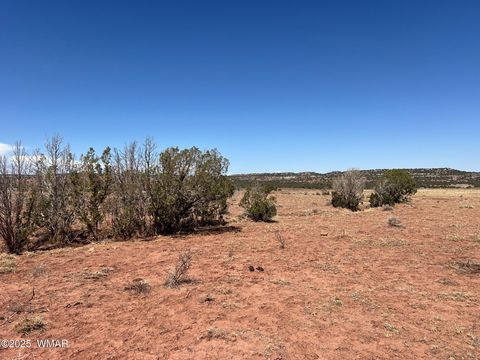 Tiny photo for 000 Paso Drive, Snowflake, AZ 85937 (MLS # 256478)