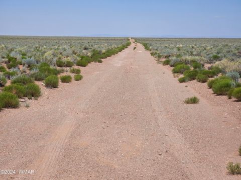 Tiny photo for TBD Near Old Holbrook Road, Holbrook, AZ 86025 (MLS # 252210)
