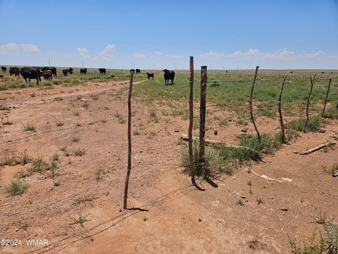 Tiny photo for TBD Near Old Holbrook Road, Holbrook, AZ 86025 (MLS # 252210)