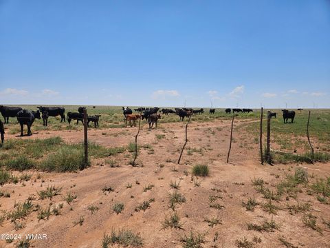 Photo of TBD Near Old Holbrook Road, Holbrook, AZ 86025 (MLS # 252210)