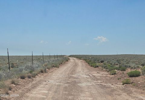 Tiny photo for TBD Near Old Holbrook Road, Holbrook, AZ 86025 (MLS # 252210)