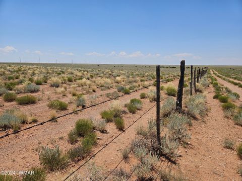 Tiny photo for TBD Near Old Holbrook Road, Holbrook, AZ 86025 (MLS # 252210)