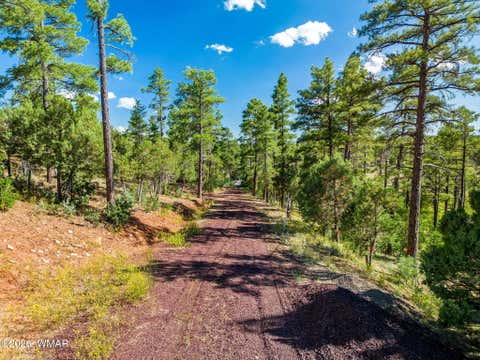 Tiny photo for TBD E Ellsworth, Show Low, AZ 85901 (MLS # 261176)