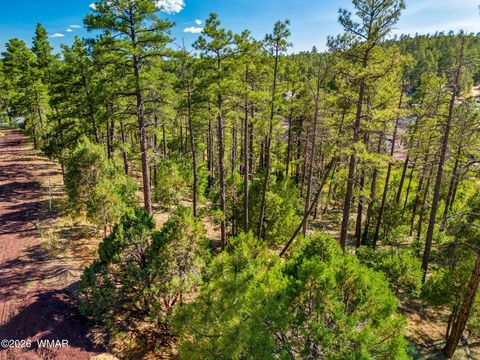 Photo of TBD E Ellsworth, Show Low, AZ 85901 (MLS # 261176)