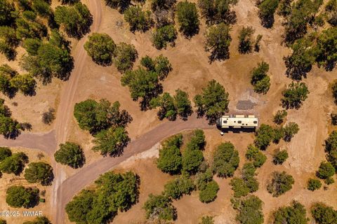 Tiny photo for 41355 US-180, Nutrioso, AZ 85932 (MLS # 256819)