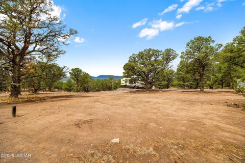 Tiny photo for 41355 US-180, Nutrioso, AZ 85932 (MLS # 256819)