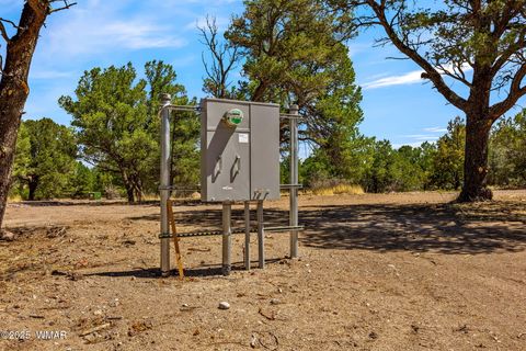 Tiny photo for 41355 US-180, Nutrioso, AZ 85932 (MLS # 256819)